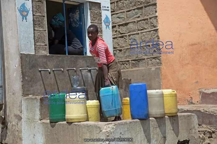 : 80186931 Villagers with containers collecting safe : 80186931 Villagers with containers collecting safe