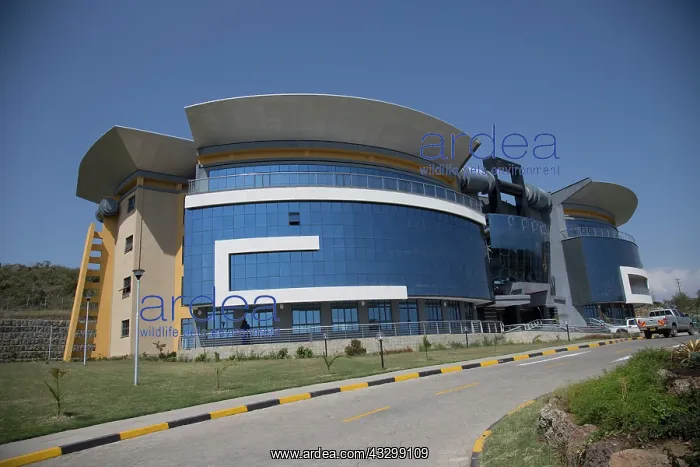 : 80186933 Kenya Electricity Generating Company KENGEN : 80186933 Kenya Electricity Generating Company KENGEN