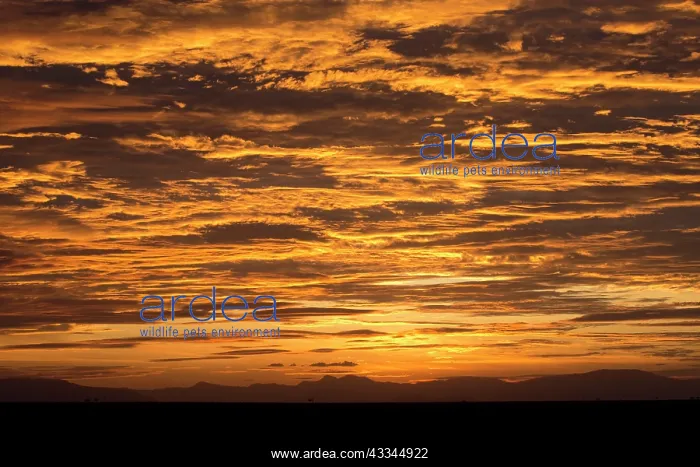  : 80186947 Spectacular sunset against Taita Hills