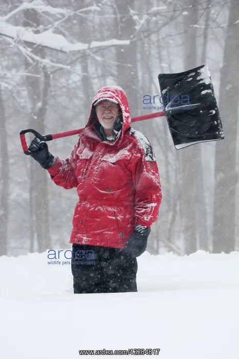 : 80187027 Snow - man with snow shovel - Winter storm : 80187027 Snow - man with snow shovel - Winter storm