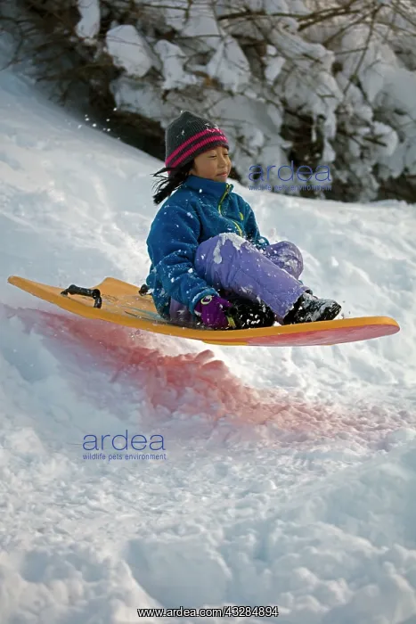 : 80187032 Snow - Chid sledging Winter storm Jonas : 80187032 Snow - Chid sledging Winter storm Jonas