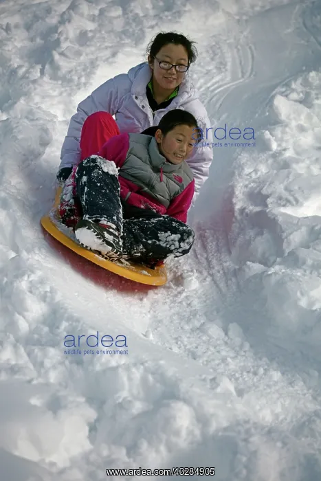  : 80187033 Snow - Children sledging - Winter storm