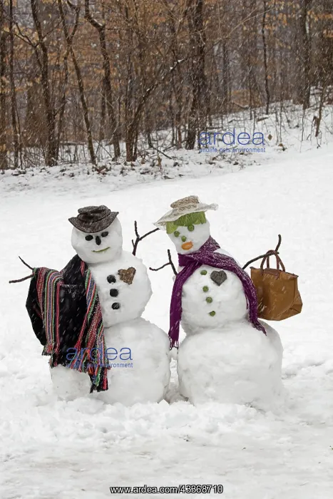 : 80187040 Snowman - Snow couple - Washington DC area : 80187040 Snowman - Snow couple - Washington DC area