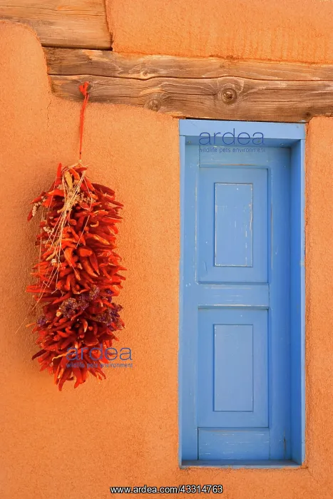 : 80187191 Adobe style house - simple beige coloured : 80187191 Adobe style house - simple beige coloured