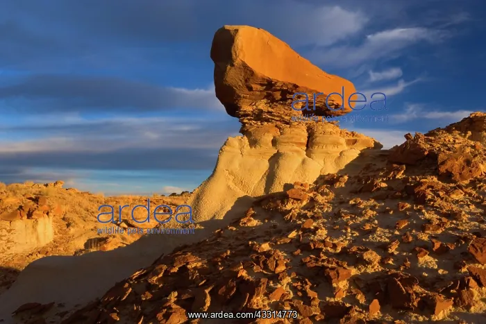 : 80187193 Hoodoo and Badlands - artfully sculpted : 80187193 Hoodoo and Badlands - artfully sculpted