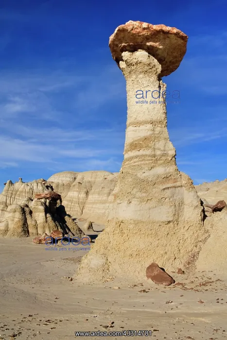 : 80187194 Hoodoos and Badlands - artfully sculpted : 80187194 Hoodoos and Badlands - artfully sculpted