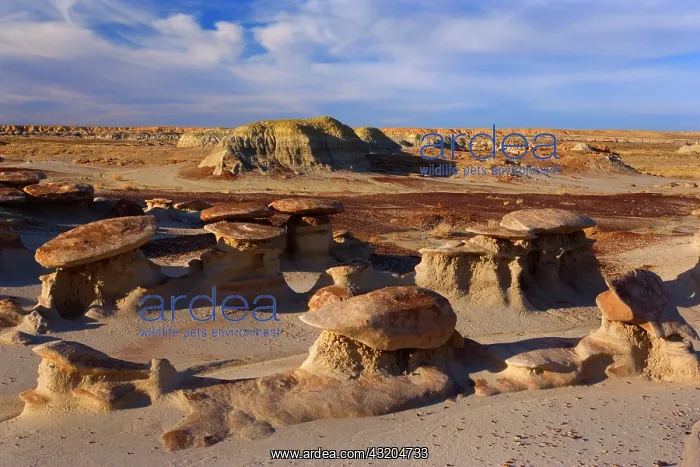 : 80187196 Hoodoos and Badlands - artfully sculpted : 80187196 Hoodoos and Badlands - artfully sculpted