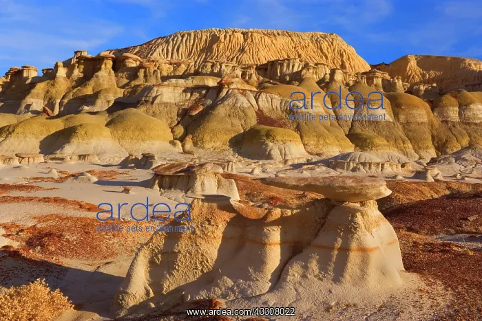 : 80187197 Hoodoos and Badlands - artfully sculpted : 80187197 Hoodoos and Badlands - artfully sculpted