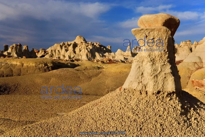 : 80187198 Hoodoos and Badlands - artfully sculpted : 80187198 Hoodoos and Badlands - artfully sculpted