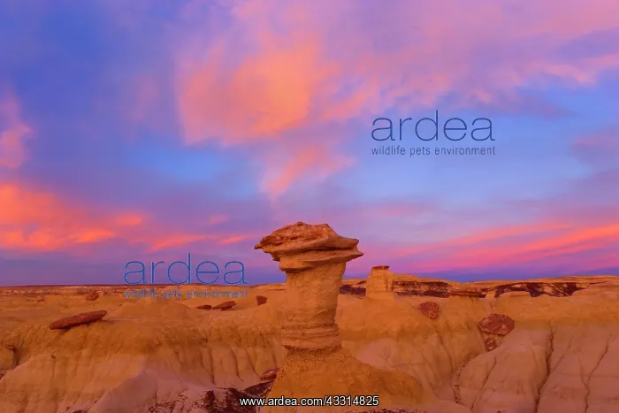 : 80187201 Hoodoos and Badlands - artfully sculpted : 80187201 Hoodoos and Badlands - artfully sculpted