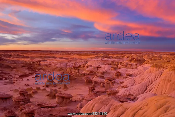 : 80187203 Hoodoos and Badlands - artfully sculpted : 80187203 Hoodoos and Badlands - artfully sculpted
