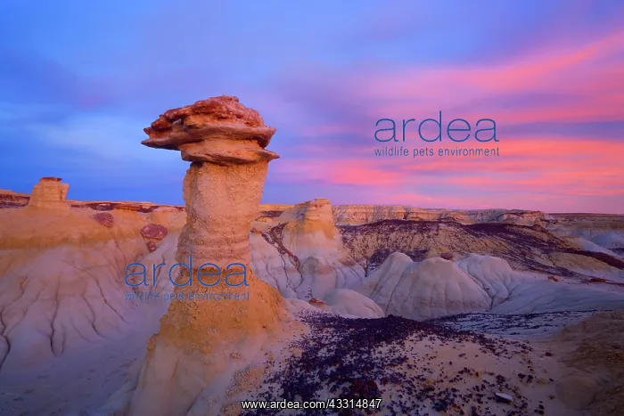 : 80187204 Hoodoos and Badlands - artfully sculpted : 80187204 Hoodoos and Badlands - artfully sculpted