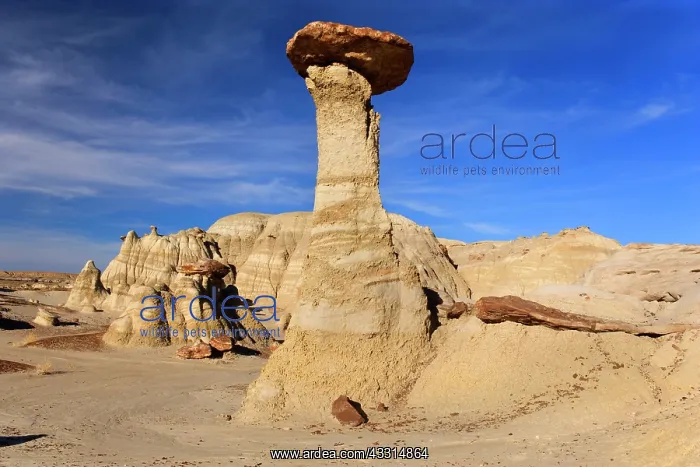 : 80187206 Hoodoos and Badlands - artfully sculpted : 80187206 Hoodoos and Badlands - artfully sculpted
