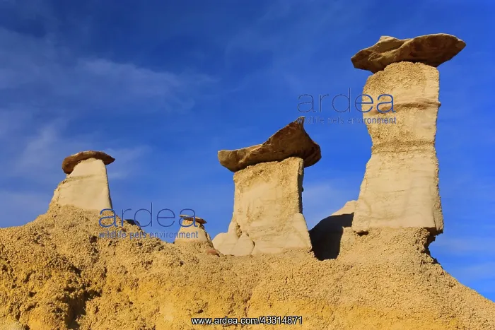 : 80187207 Hoodoos and Badlands - artfully sculpted : 80187207 Hoodoos and Badlands - artfully sculpted
