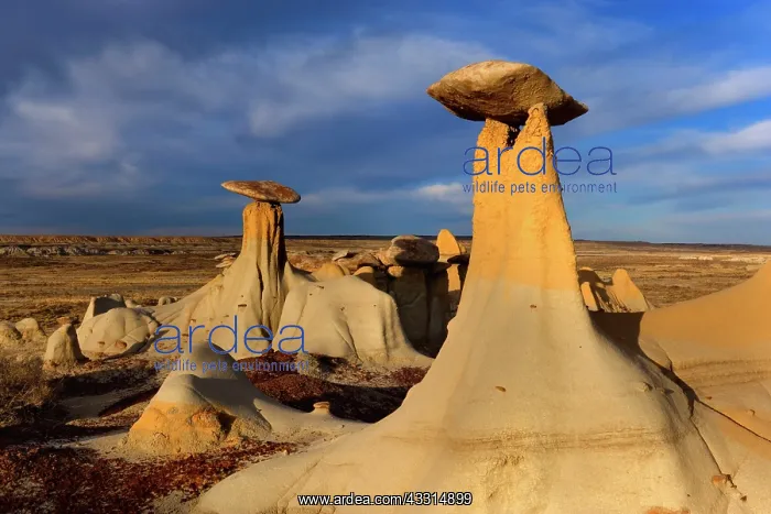 : 80187211 Hoodoos and Badlands - artfully sculpted : 80187211 Hoodoos and Badlands - artfully sculpted