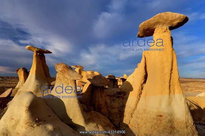 : 80187212 Hoodoos and Badlands - artfully sculpted : 80187212 Hoodoos and Badlands - artfully sculpted