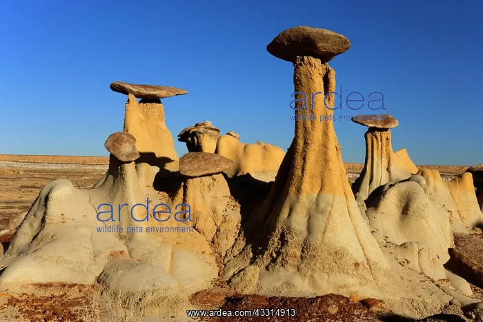 : 80187213 Hoodoos and Badlands - artfully sculpted : 80187213 Hoodoos and Badlands - artfully sculpted