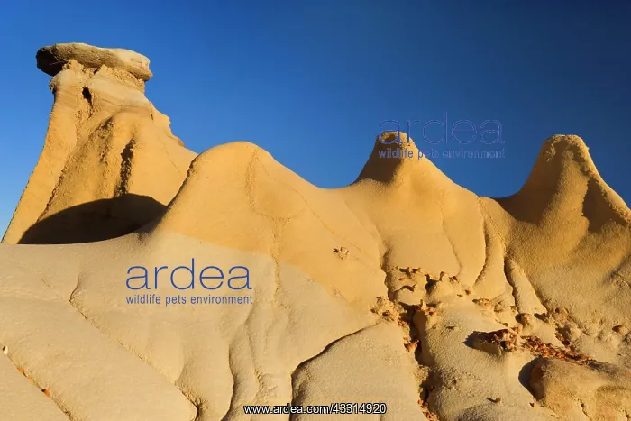 : 80187214 Hoodoos and Badlands - artfully sculpted : 80187214 Hoodoos and Badlands - artfully sculpted