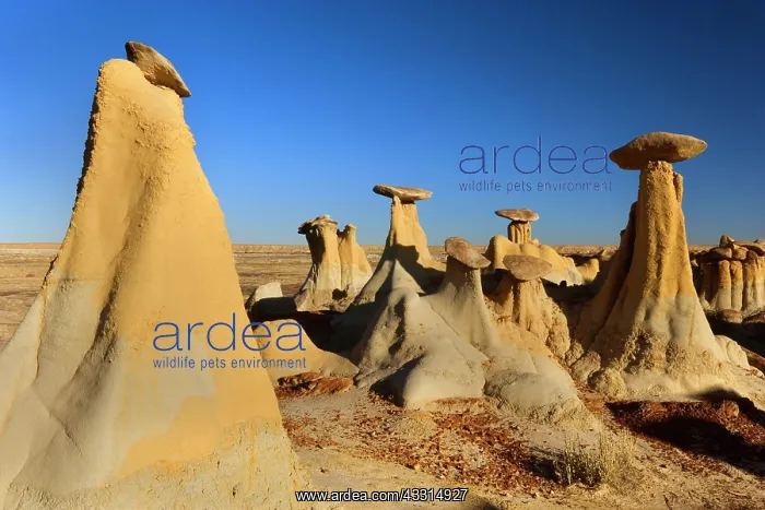 : 80187215 Hoodoos and Badlands - artfully sculpted : 80187215 Hoodoos and Badlands - artfully sculpted