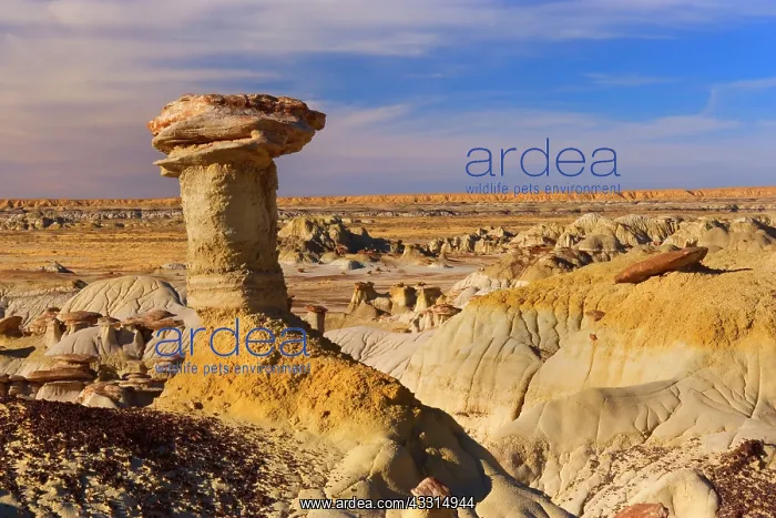 : 80187217 Hoodoos and Badlands - artfully sculpted : 80187217 Hoodoos and Badlands - artfully sculpted