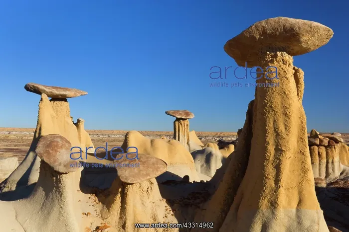  : 80187219 Hoodoos and Badlands - artfully sculpted