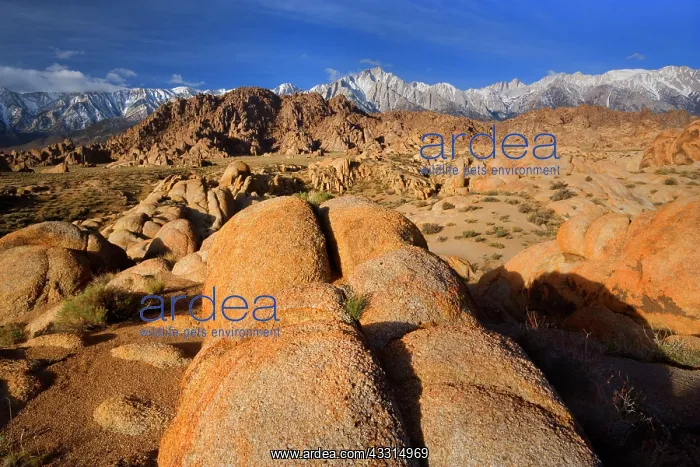 : 80187220 Alabama Hills - rocky landscape and snow-covered : 80187220 Alabama Hills - rocky landscape and snow-covered