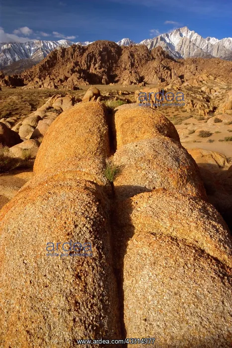 : 80187221 Alabama Hills - rocky landscape and snow-covered : 80187221 Alabama Hills - rocky landscape and snow-covered