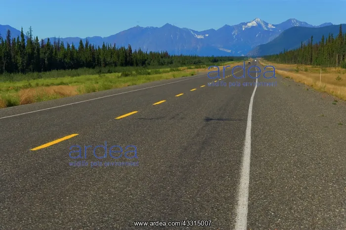 : 80187224 Alaska Highway - paved ALCAN approaches : 80187224 Alaska Highway - paved ALCAN approaches
