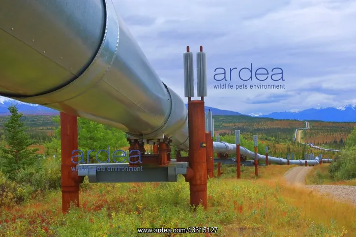 : 80187236 Aleyaska oil pipeline - installation of : 80187236 Aleyaska oil pipeline - installation of