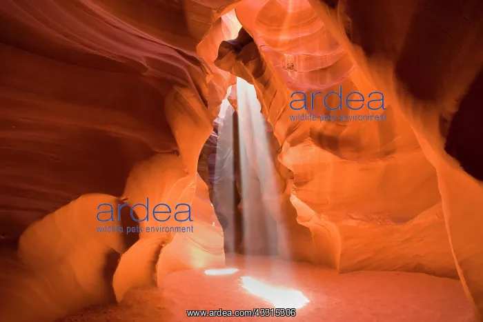 : 80187255 Antelope Canyon - two sunbeams breaking : 80187255 Antelope Canyon - two sunbeams breaking