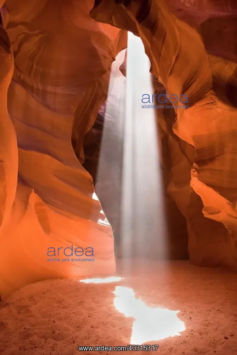  : 80187256 Antelope Canyon - two sunbeams breaking
