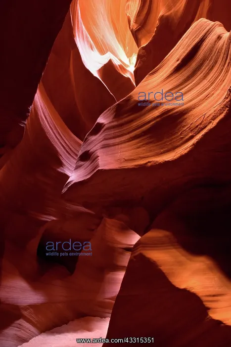  : 80187260 Antelope Canyon - convoluted walls of this
