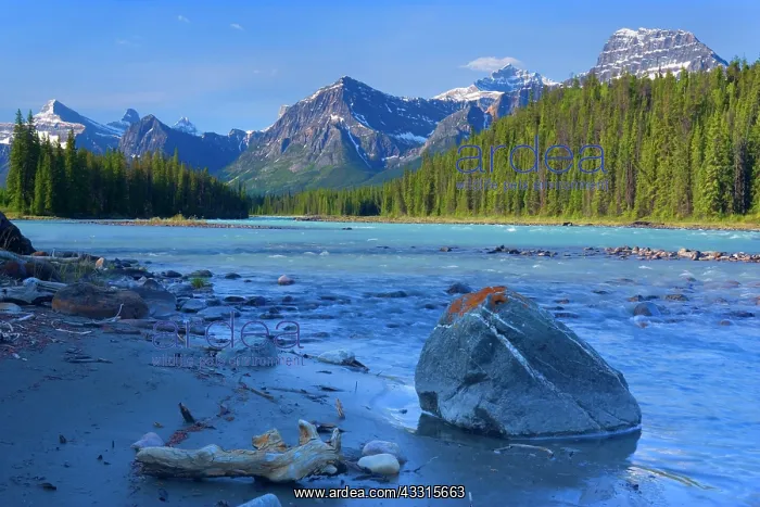 : 80187298 Athabasca River - mountain landscape with : 80187298 Athabasca River - mountain landscape with