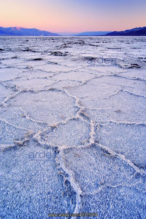 : 80187309 Badwater - the salt flats of Badwater : 80187309 Badwater - the salt flats of Badwater