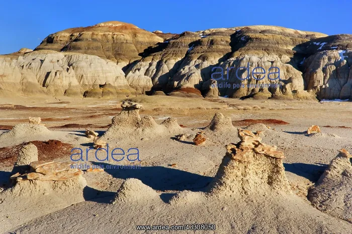: 80187329 Hoodoos and Badlands - little Hoodoos sitting : 80187329 Hoodoos and Badlands - little Hoodoos sitting