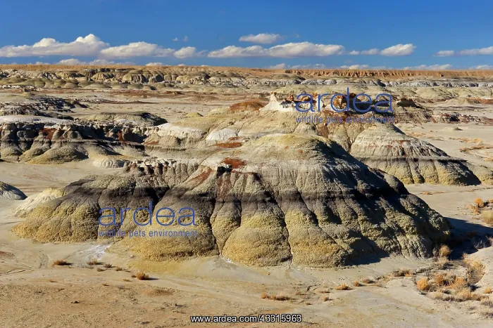 : 80187338 Badlands - colourful eroded clay sculptures : 80187338 Badlands - colourful eroded clay sculptures
