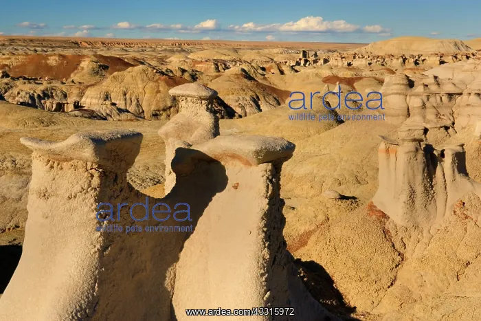  : 80187339 Hoodoos - whimsical eroded clay sculptures