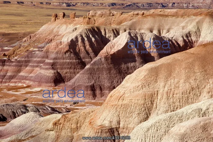 : 80187358 Blue Mesa Badlands - desert with colourful : 80187358 Blue Mesa Badlands - desert with colourful