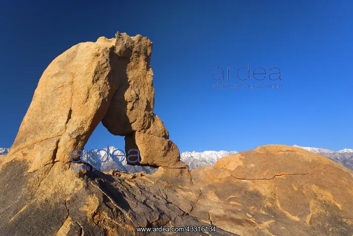 : 80187363 Boot Arch - Lone Pine, one of the snow-capped : 80187363 Boot Arch - Lone Pine, one of the snow-capped