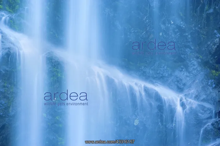 : 80187365 Bridal Veil Falls - falling waters of Bridal : 80187365 Bridal Veil Falls - falling waters of Bridal