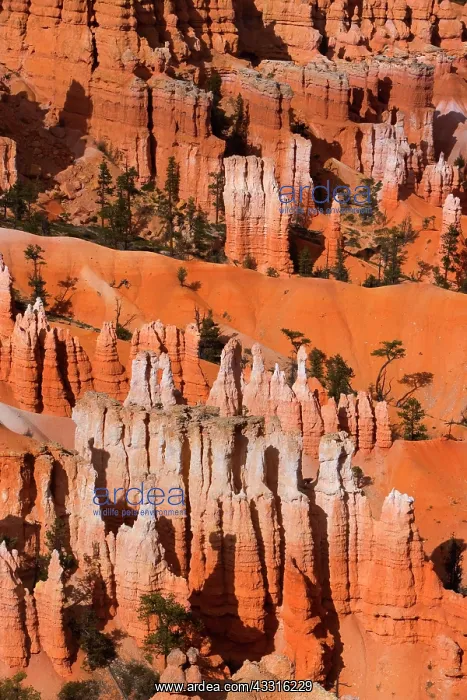 : 80187372 Bryce Canyon - Amphitheatre with famous : 80187372 Bryce Canyon - Amphitheatre with famous
