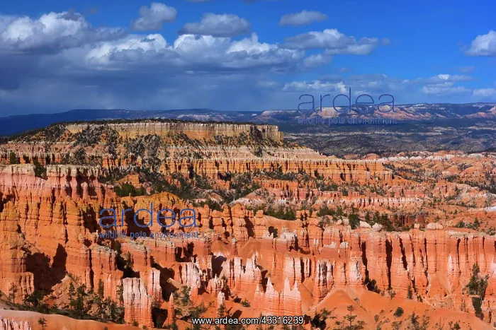 : 80187373 Bryce Canyon - rain clouds over Amphitheatre : 80187373 Bryce Canyon - rain clouds over Amphitheatre