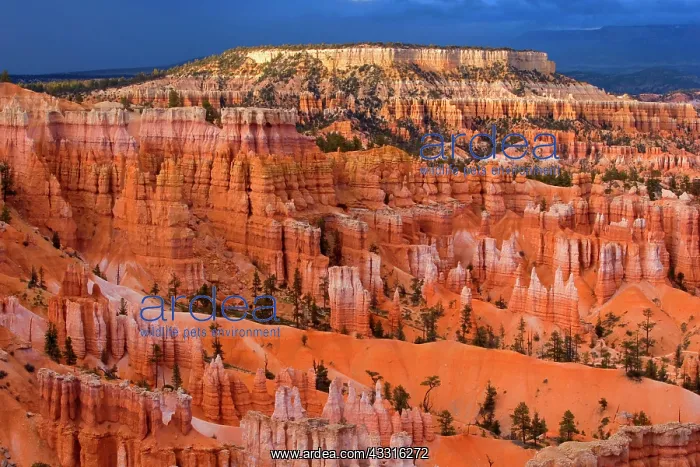 : 80187376 Bryce Canyon - storm clouds over sandstone : 80187376 Bryce Canyon - storm clouds over sandstone