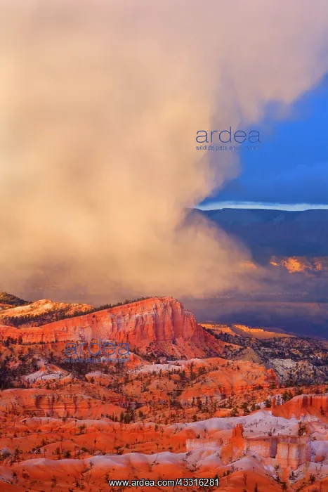 : 80187377 Bryce Canyon - storm clouds over sandstone : 80187377 Bryce Canyon - storm clouds over sandstone