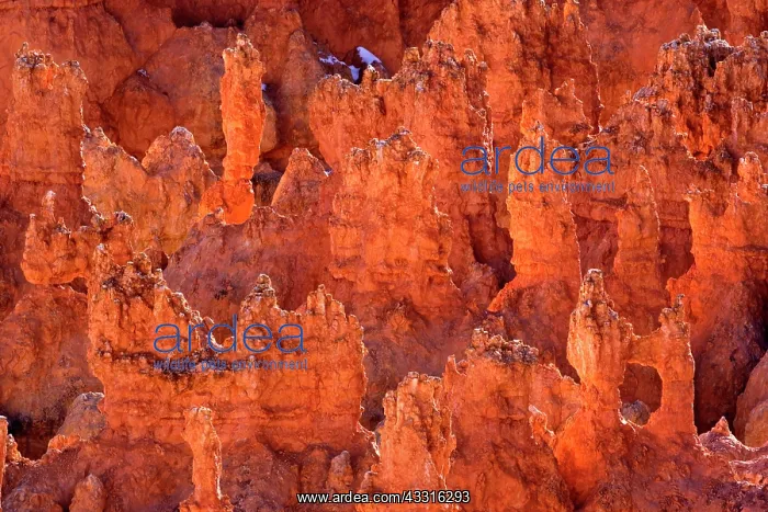 : 80187378 Bryce Canyon - reflecting light highlighting : 80187378 Bryce Canyon - reflecting light highlighting