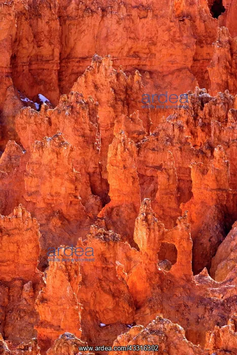 : 80187379 Bryce Canyon - reflecting light highlighting : 80187379 Bryce Canyon - reflecting light highlighting