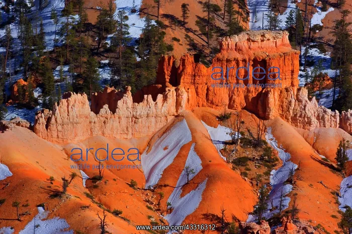 : 80187380 Bryce Canyon - famous sandstone spires : 80187380 Bryce Canyon - famous sandstone spires