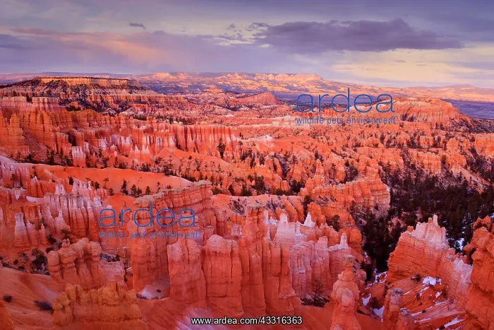 : 80187385 Bryce Canyon - panoramic view over sandstone : 80187385 Bryce Canyon - panoramic view over sandstone