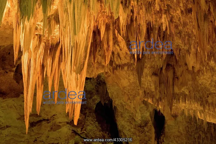 : 80187400 cave formations - amazing cave formations : 80187400 cave formations - amazing cave formations