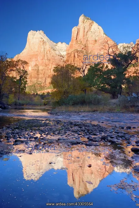 : 80187434 Court of The Patriarchs - red cliffs called : 80187434 Court of The Patriarchs - red cliffs called